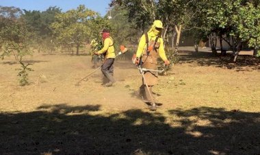 Caldas Novas: Secretaria de Ação Urbana realiza trabalho de roçagem