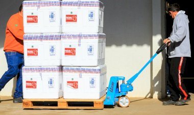 Mais 231.660 doses chegam a Goiás para novo reforço à vacinação contra Covid-19