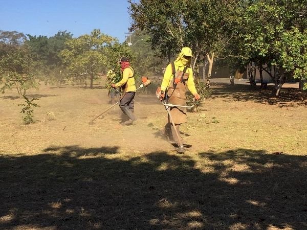 Caldas Novas: Secretaria de Ação Urbana realiza trabalho de roçagem