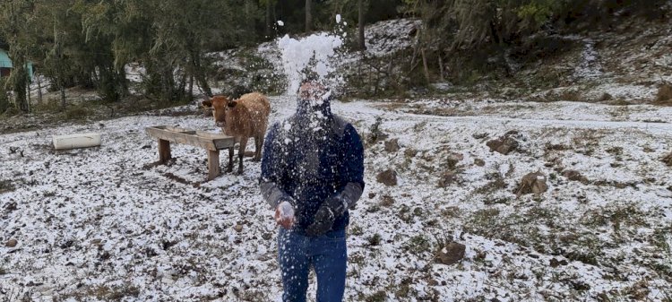 Com -8,6°C, SC registra a menor temperatura do Brasil em 2021, diz Inmet