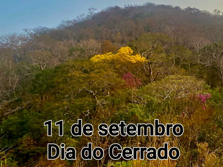 Dia do Cerrado