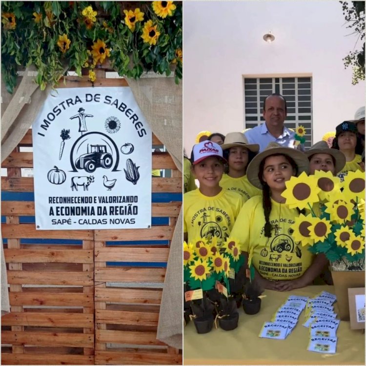 Escola Municipal Waldomiro Gonçalves realiza exposição cultural sobre o Povoado do Sapé, em Caldas Novas