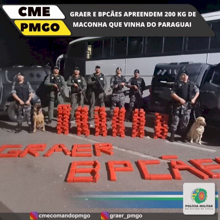 Tráfico Internacional: PM apreende 200 kg de maconha em ônibus vindo do Paraguai
