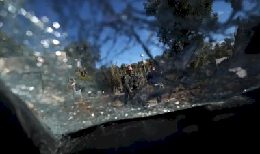 Cessar-fogo entre Israel e Hezbollah: por que conflito vai ser suspenso no Líbano mas não em Gaza?